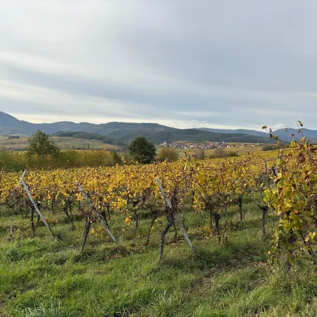 Apartamento Des Potiers Epfig